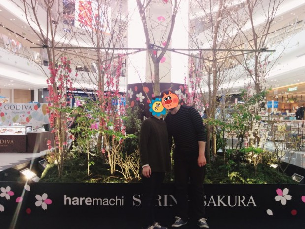 Alberi di sakura nel centro commerciale Aeon Mall di Okayama.