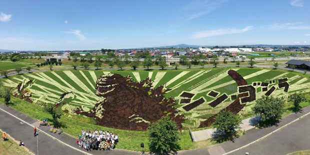 Risaie di Inakadate coltivate a forma di Godzilla.