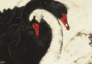 Dettaglio della copertina di "Swan Lake" di Anne Spudvilas.