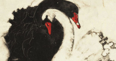 Dettaglio della copertina di "Swan Lake" di Anne Spudvilas.