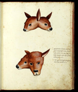 Pagina dalle opere a stampa di Ulisse Aldrovandi (fotografia: Michelangelo Setola).