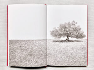 Foto di due pagine del libro "La quercia" di Walt Whitman e Brian Selznick.
